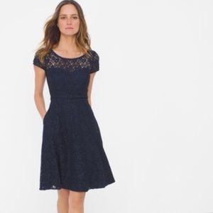 Woman WHBM Navy Blue Lace Dress